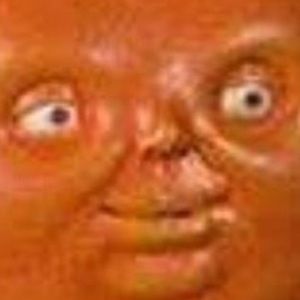 Meet your Posher, Ava